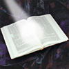Weekly Torah Class